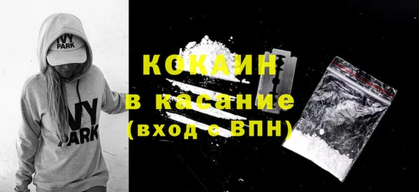 гидра Магас
