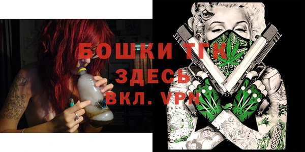 гидра Магас
