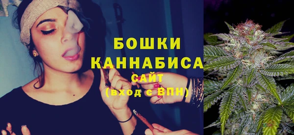 гидра Магас