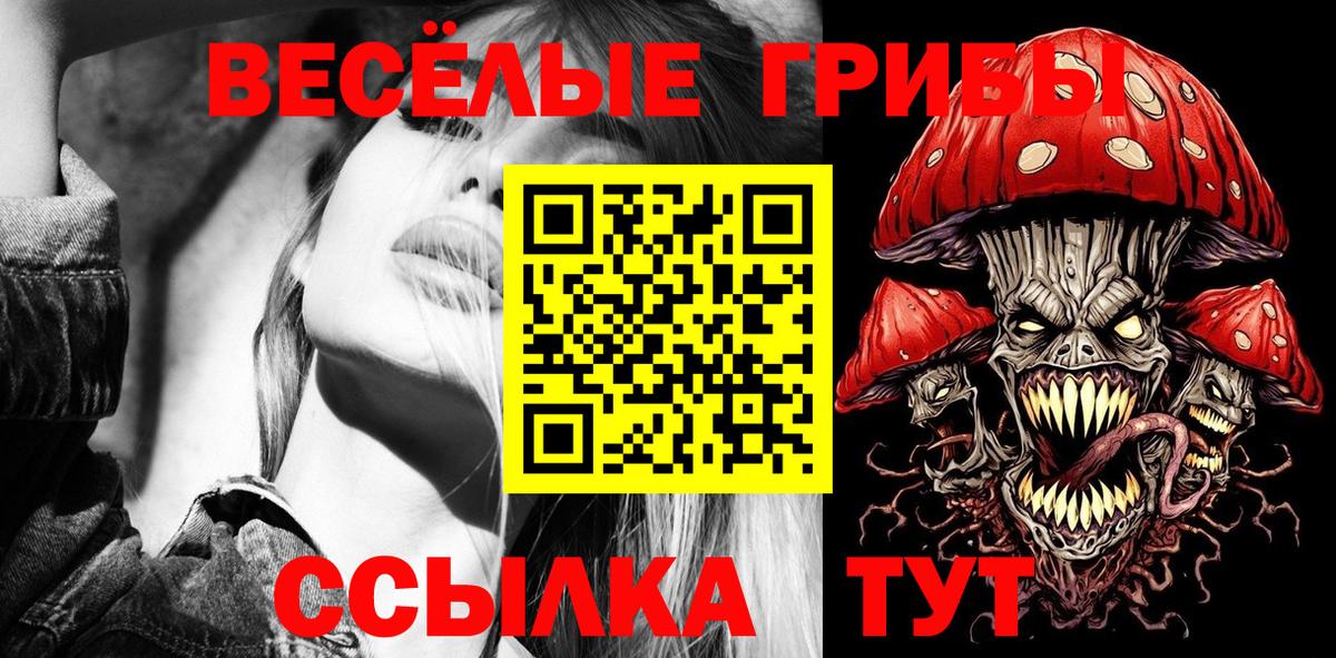 закладки  Вход с VPN  Темрюк  Галлюциногенные грибы Psilocybe 