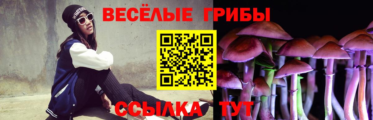НБОМе Темрюк