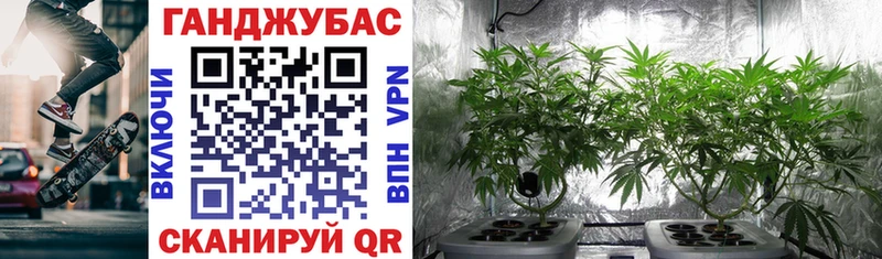 Бошки марихуана White Widow  Темрюк 